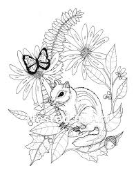 My adult coloring pages include flowers, animals and geometrics. Adult Coloring Page Chipmunk And Butterfly Digital Download Etsy
