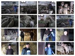 Ce inseamna pentru voi meseria e bratara de aur. Meseria BrÄÅ£arÄ De Aur