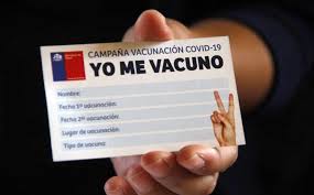 El carnet es un documento muy importante en el que se van registrando todas las vacunas que recibe una persona. Dra Maria Soledad Martinez Y Carnet Verde De Vacunacion No Lo Recomiendo En Absoluto Diario Y Radio U Chile