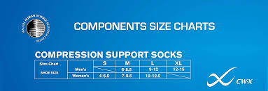 Cw X Conditioning Wear Compression Support Running Sock