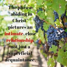 What Does It Mean To Abide In Christ Http Www Gotquestions Org Abide In Christ Html Grapes Grape Vineyard Abide In Christ