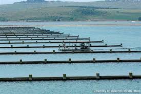 Maybe you would like to learn more about one of these? Eshkol Water Filtration Plant Water Technology
