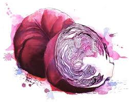 Beautiful Loose Purple Cabbage Art Georgina Luck Tea Bag Art Watercolor Food