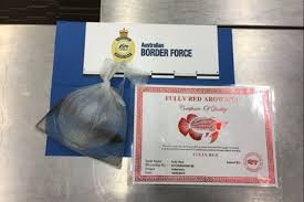 Man Arrested For Allegedly Smuggling Fish In A Bag Around His Neck Into Adelaide Fish In A Bag Rare Animals Dragon Fish