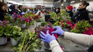 All florist coupon codes are free and updated frequently. Oberer S Flowers Hiring 20 Full Time Workers Dayton Business Journal