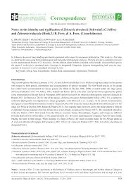 Image result for Zehneria tridactyla