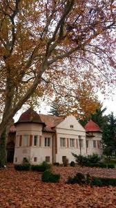 Ambulance station, mátészalka.jpg 4,752 × 3,168; Kastelyszallo Mateszalka In Hungary