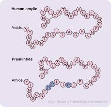 Image result for Pramlintide