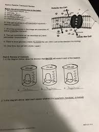 Place the following into either active or passive transport. Solved Outside The Cell Dix Part 4 Passive Transport Rev Chegg Com