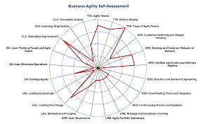 Business Agility Assessment Learning Organization Lean Enterprise Leadership Competencies