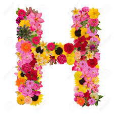 Use the lowercase flowers to spell out their. Letter H Alphabet With Flower Abc Concept Type As Logo Isolated Stock Photo Picture And Royalty Free Image Image 120704289
