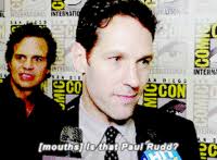 Paul rudd wet hot american summer GIF