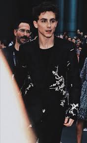 tumblr ist ein ort an dem du dich selbst verwirklichen und entdecken kannst und menschen mit gemei timothee chalamet lil timmy tim timothee chalamet wallpaper