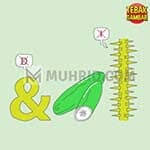 Kunci Jawaban Tebak Gambar Level 33