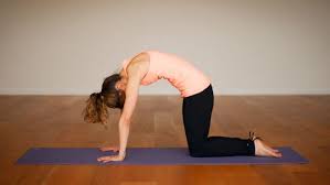 Lying down on the stomach yoga poses. 8 Foundational Yoga Poses For Beginners Ekhart Yoga