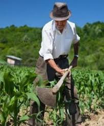 Definitie terminologie legislatie organisme de inspectie responsabilitatile operatorilor oportunitati statistica piata produselor ecologice slideshow. Agricultura Ecologica Ministerul Agriculturii Si Dezvoltarii Rurale