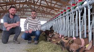 L'homme est capable de grandes choses, le sainte maure de touraine aop en est une… il est un fromage d'excellence gravée d'une paille de céréales. La Foire Un Rendez Vous Majeur