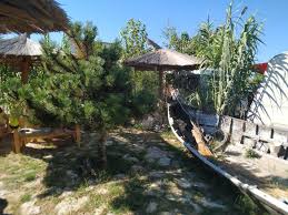 Travelminit va debita suma acordată pe cardul tău în cel mai scurt timp posibil, în funcție de volum. Oz 2mai 2 Mai PreÈ›uri Actualizate 2021