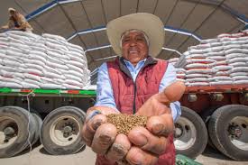Más de 1.7 millones de productores ya recibieron sus Fertilizantes para el Bienestar