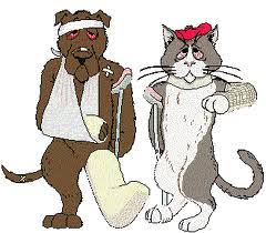 Check spelling or type a new query. 24 Hour Emergency Services Rainbow City Pet Clinic