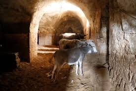 Mardin In Butun Copu Onlarin Sirtinda Ntv
