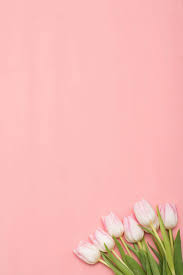 See more ideas about beige aesthetic, white aesthetic, cream aesthetic. Pink Tulips Iphone Spring Wallpaper Spring Wallpaper Vintage Flower Backgrounds