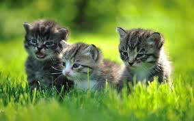 To upgrade from windows 10 home to windows 10 pro and activate your device, you'll need a valid product key or a digital license for windows 10 pro. Windows 10 Tip Clear Your Workspace In Two Simple Steps Windows Experience Blog