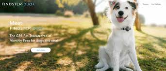 You will get to know about your pet's location using dott small gps tracker without monthly fee, unlike other devices which charge. Best No Monthly Fee Pet Trackers Pet Tracker Reviews