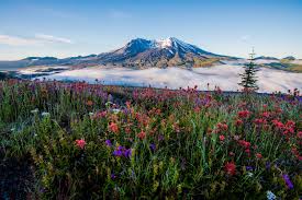 The new camera was installed in june, 2007. 10 Campgrounds Near Dormant And Active Volcanoes In The U S