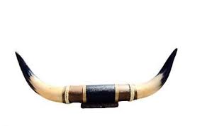 5 Off On Medium Real Bull Horn Cow Texas Horn Wall Or Car Truck Hood Ornament Mgeneric 75 99 At Truegether Bull Horns Bull Cow Horns