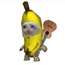 Lots of people will use an illustration, icon now your discord pfp is a perfect circle. 75 Funny Discord Pfp Ideas In 2021 Stupid Memes Funny Memes Mood Pics