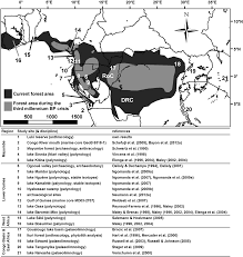 Image result for Annickia lebrunii