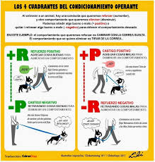 Perros Y Condicionamiento Operante Calmadogs
