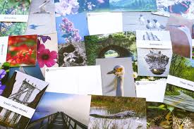You can upload your own design or use our online design tools to create designs from scratch. More Ways To Make Someone Happier New Nature Photography Postcards