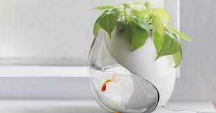 Orders of $35 or more get free shipping! Art Craft Gift Ideas Unique Betta Fish Tank