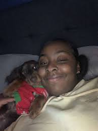 Stamford police seized 22 puppies in alleged dog-running operation. But two  were personal pets, attorney says