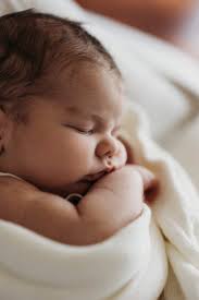 Stefanie Ford Photography