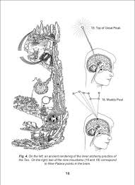 The Idiot S Guide To Taoist Alchemy Qigong Perceivebelieve Qigong Taoist Taoism
