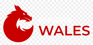 Download arts council wales logo png image for free. What Is A Nerf Esports Wales Png Transparent Png Vhv