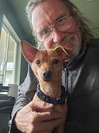 WILLIE is seriously the sweetest and goofiest boy. Willie is looking for  his forever home that will maybe have another dog to play with and some  laps to snuggle in. I love