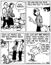 Pin By Nettie De On Calvin And Hobbes In 2020 Calvin And Hobbes Comics Calvin And Hobbes Comics Love