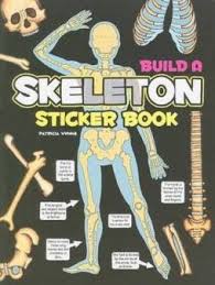 Attached to the bones of the skeletal system are about 700 named muscles that make up roughly half of a person's body weight. Bones And Muscles Theschoolrun