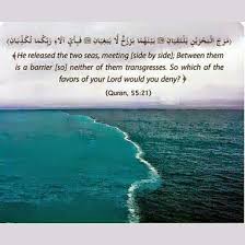 Pin By Nisha Lokapur On Ocean Quran Verses Quran Surah Ar Rahman