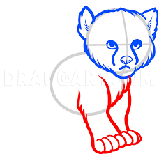 How to draw big cats. How To Draw A Baby Cheetah Baby Cheetah Step By Step Drawing Guide By Dawn Dragoart Com