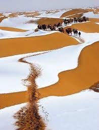 Abif that's the only place where you can leave your doubts, c#mei'll hold you up and be your way out. Pin On Interesting