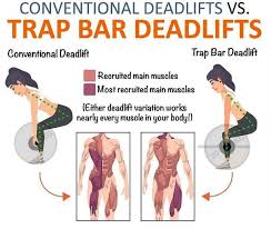It's the intermediate between a convential deadlift (shins angled forward) and an sldl (shins angled goddamit im just gonna do a flatbacked, knees slightly bent, stiff legged deadlift and call it a stiff legged deadlift. How To Do The Stiff Leg Deadlift Form Benefits Differences