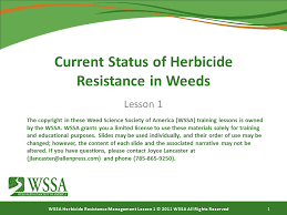 current status of herbicide resistance in weeds cotton