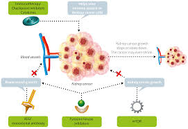 He's very trustworthy , he's honest and he's much braver than i am, as a gamekeeper he has to be. Images Graphics Kidney Cancer Ikcc International Kidney Cancer Coalition