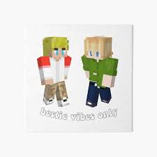 All kinds of minecraft pe texture packs and resource packs, to change the look of minecraft pe in your game. Minecraft Skins Art Board Prints Redbubble