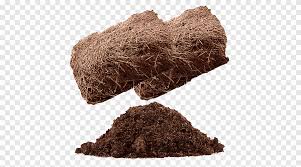 Acidic soil with a surface of decayed pine needles. Mulch Soil Straw Plant Pine Pine Needles Png Pngegg